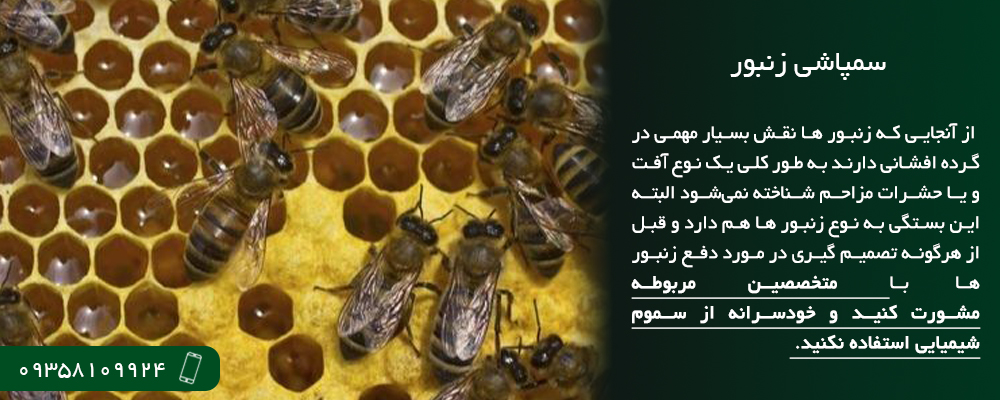سمپاشی زنبور در کرج سمپاشی طبیعی زنبور
