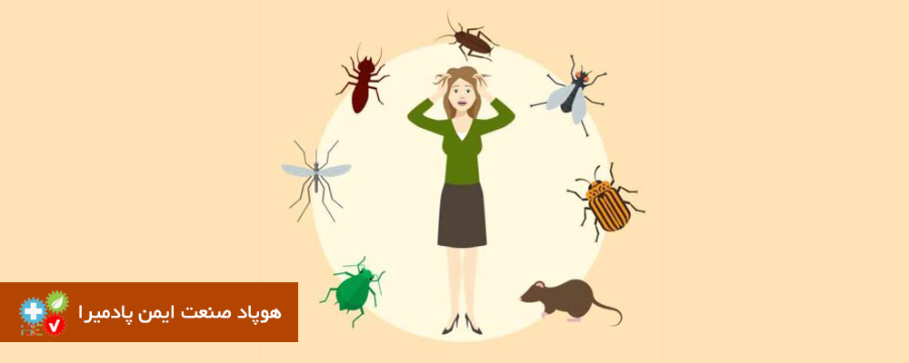ترس از حشرات فوبیا حشرات چیست و چه باید کرد؟
